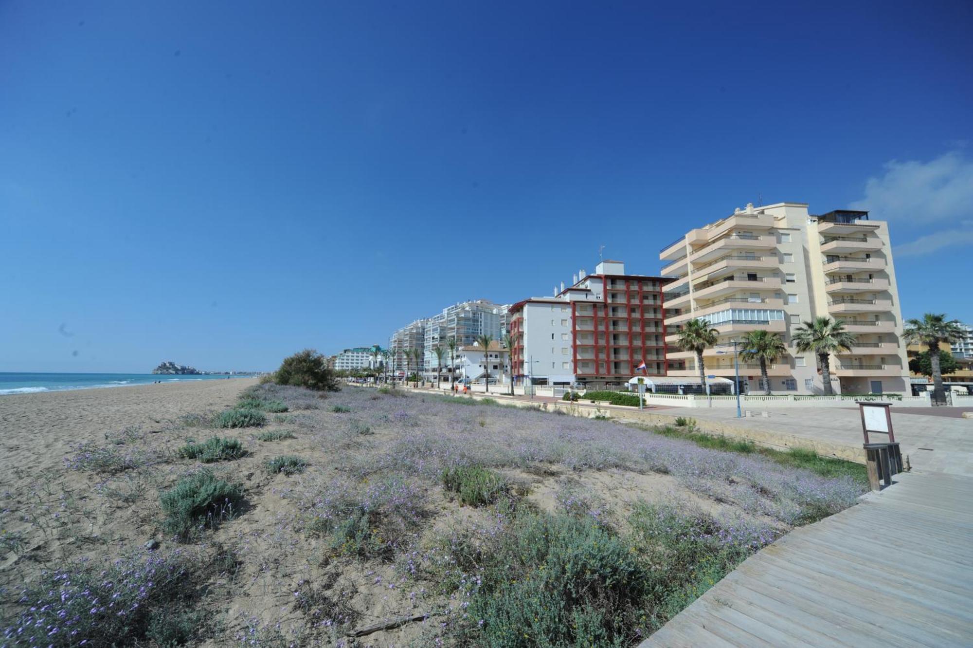 Peñíscola Marina Vistamar Orangecosta 아파트 외부 사진