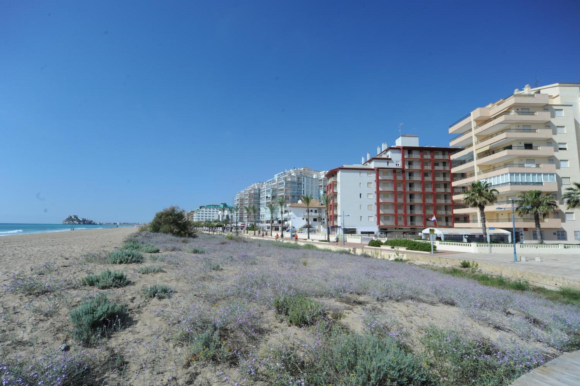 Peñíscola Marina Vistamar Orangecosta 아파트 외부 사진